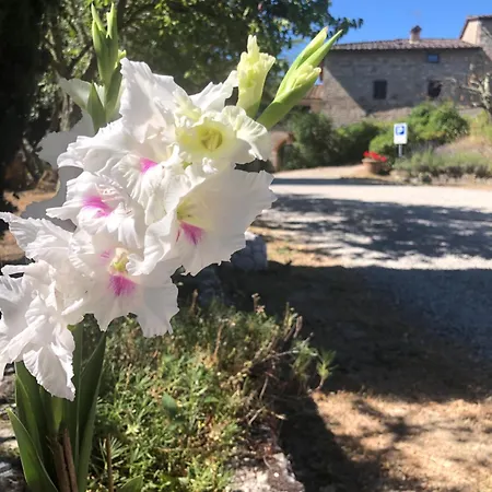 Malpensata * Radda In Chianti