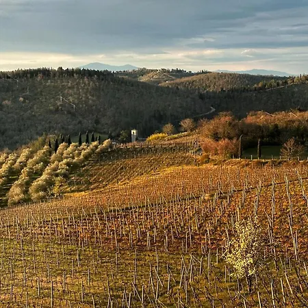 Malpensata Radda In Chianti
