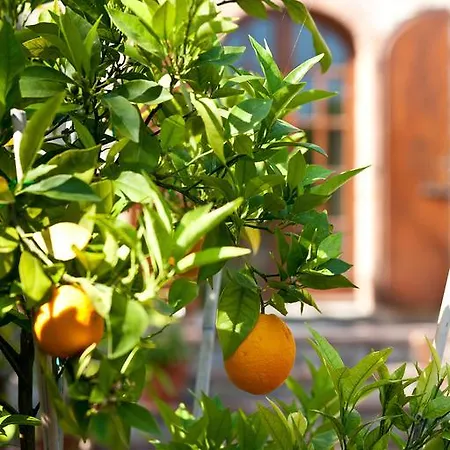 Alloggio per agriturismo Malpensata